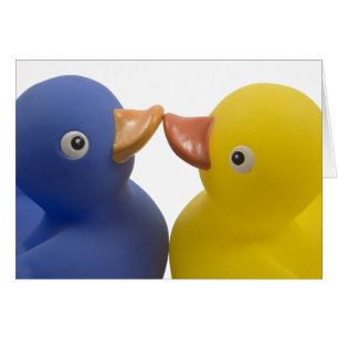 Verliebte Enten