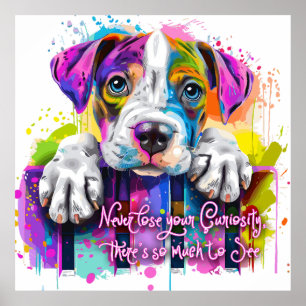 Verlieren Sie nie Ihre Neugier, es gibt so viel zu Poster