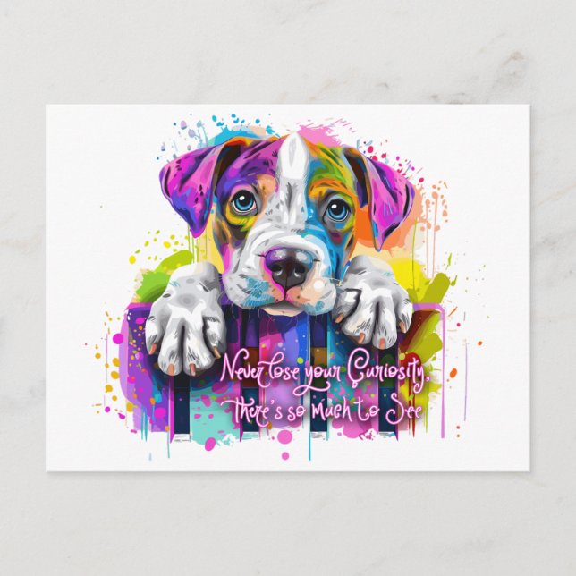 Verlieren Sie nie Ihre Neugier, es gibt so viel zu Postkarte (Vorderseite)