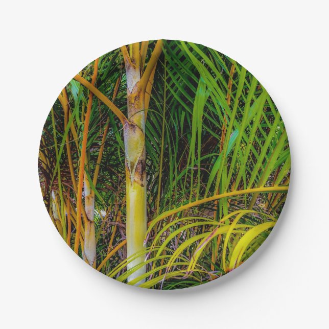 Verliert in Areca Palms Papierplatte Pappteller (Vorderseite)
