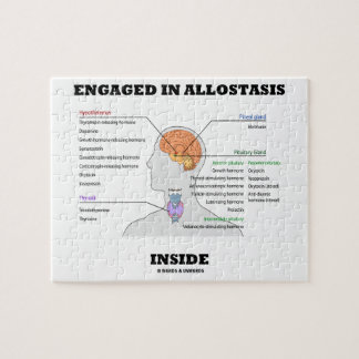 Verlobt in Allostasis Innere (endokrine Hormone) Puzzle