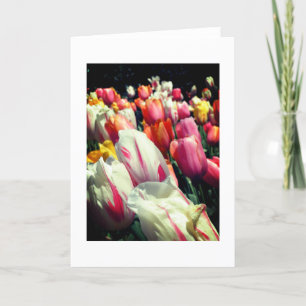 Verlockende Tulpe-Anmerkungs-Karte Karte