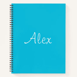 Verlockendes Aqua Notizbuch
