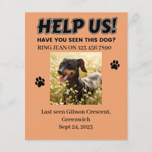 VERLOREN HUNDE FLYER. HELFEN SIE UNS! Ausführliche Flyer