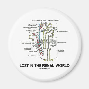 Verloren in der Nierenwelt (Niere Nephron) Magnet