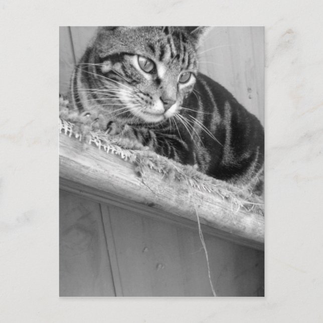 verloren postkarte (Vorderseite)