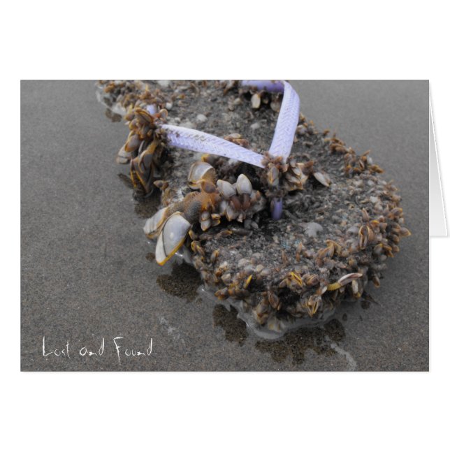 verloren und gefunden (Vorderseite (Horizontal))