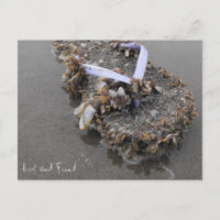 verloren und gefunden