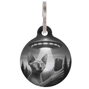 Verlorene Pet-ID-Markierung für Katzen-Collars   F Haustiermarke