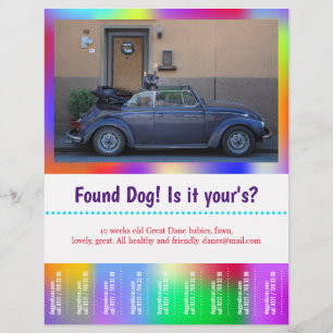 Verlorener Hund Zum Abreißen farbig Flyer