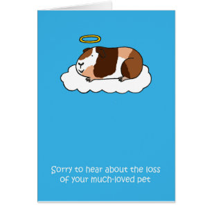 Verlust der Guinea Schweinefleisch, Beileid.