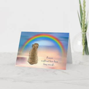 Verlust der Shar Pei Rainbow Sympathy Card Feiertagskarte