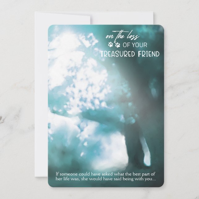 Verlust der sympathischen Karte für gespendete Fre (Vorderseite)