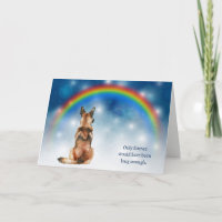 Verlust des belgischen Malinois-Hundes Nachtlichte