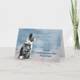 Verlust des Collie Condolence Beileid #2 Karte