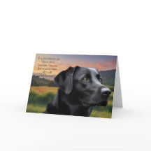 Verlust des Haustieres Hund (Schwarzer Labrador) -