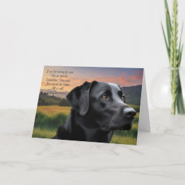 Verlust des Haustieres Hund (Schwarzer Labrador) - Karte