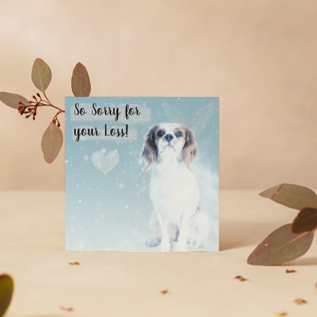 Verlust einer Hundekarte für Heimtiere Karte (Von Creator hochgeladen)