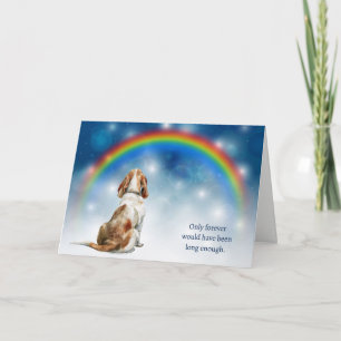 Verlust eines Basset Hound-Hundes Nacht Regenbogen Feiertagskarte