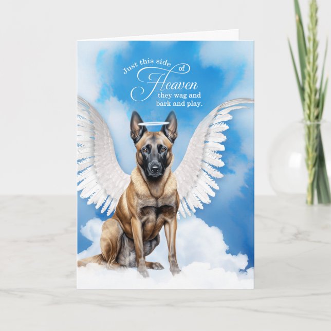 Verlust eines belgischen Hundes Malinois Angel Pet Karte (Vorderseite)