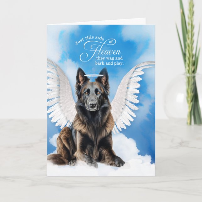Verlust eines belgischen Hundes Tervuren Angel Pet Karte (Vorderseite)
