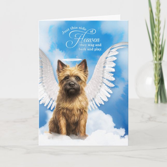 Verlust eines Cairn Terrier Dog Angel Beileid Karte (Vorderseite)