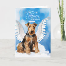 Verlust eines Hundes Airedale Terrier Angel Beilei