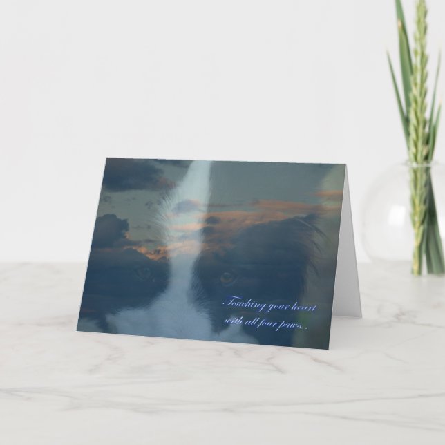 Verlust eines Hundes. Verlust eines Haustieres. Be Karte (Vorderseite)