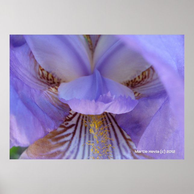 Verlust im Traum Poster (Vorne)