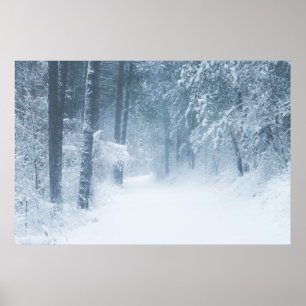 Verlust in einem magischen Wald Poster