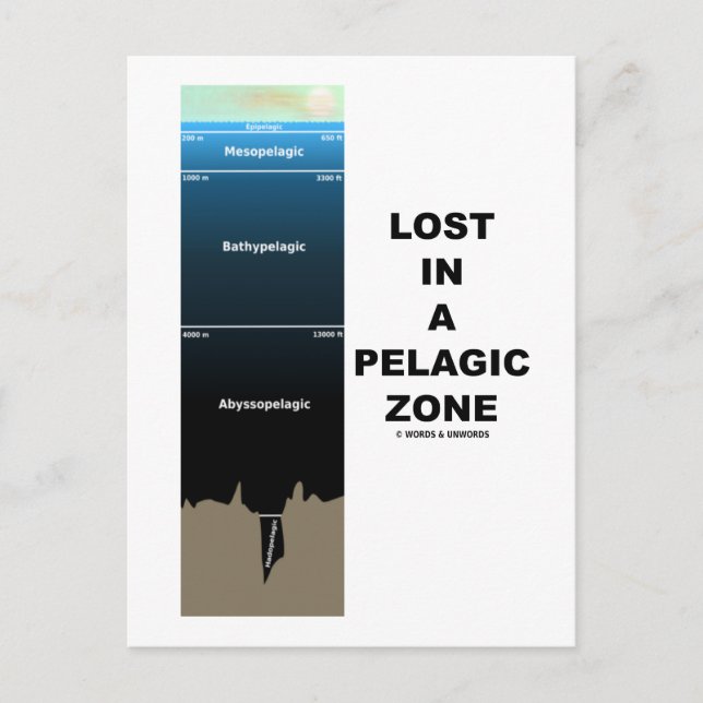 Verlust in einer pelagischen Zone (Spaß der Ozeano Postkarte (Vorderseite)