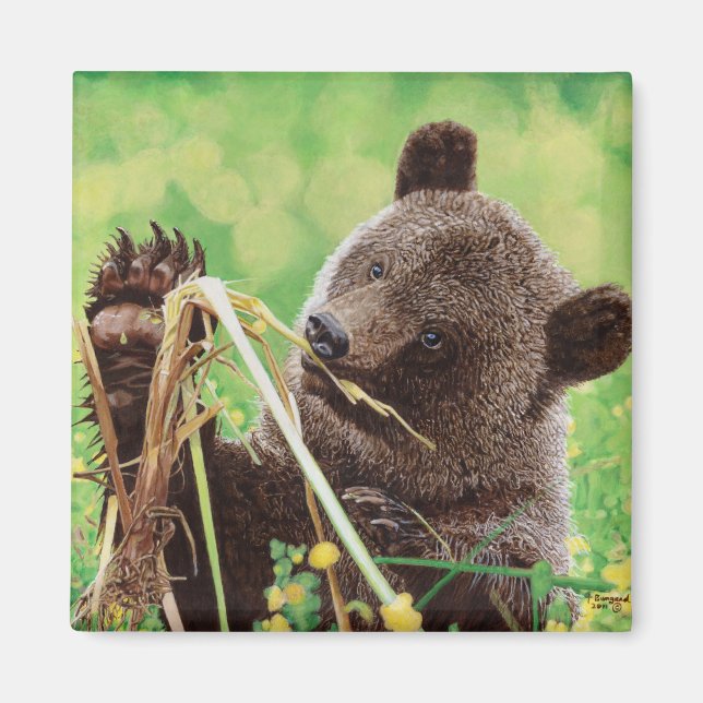 Verlust in Wunder Magnet (Vorne)