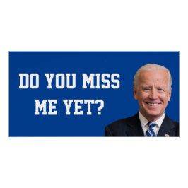Vermagst du Joe Biden noch? Poster