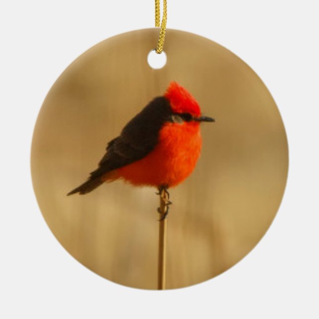 Vermilion Flycatcher Keramik Ornament (Vorne)
