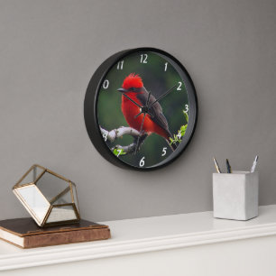 Vermilion Flycatcher Wall Clock Wanduhr