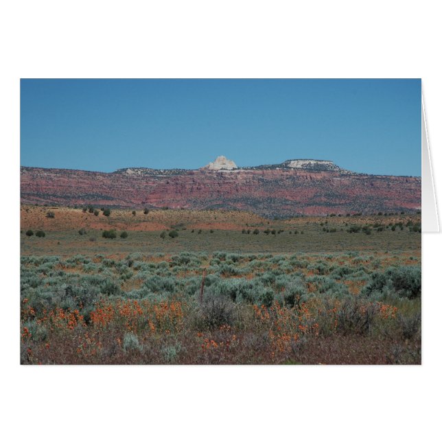 VERMILLION CLIFFS (Vorderseite (Horizontal))