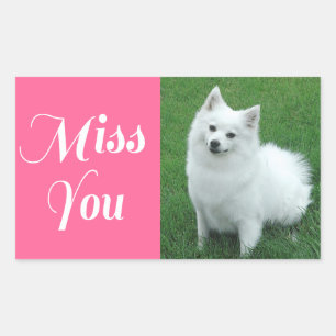 Vermisse Dich American Eskimo Welpe Hund Aufkleber