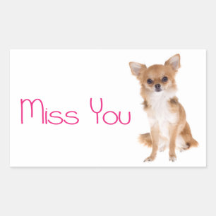Vermisse Dich Chihuahua Welpe Hund Aufkleber Etike