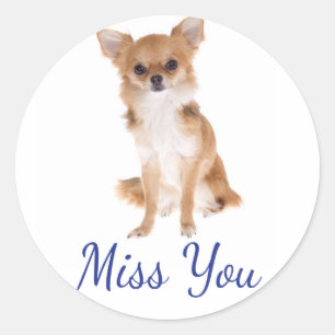 Vermisse Dich Chihuahua Welpen Hund Aufkleber Labe