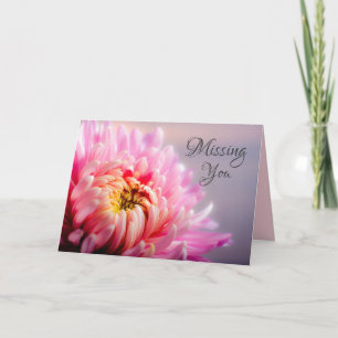 Vermisse Dich Rosa Chrysantheme Makro-Fotokarte Karte