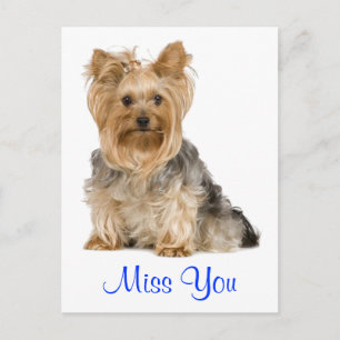 Vermisse dich Yorkshire Terrier Welpe Postkarte