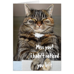 Vermissende Katze fehlt dir lustiger Humor Gruß