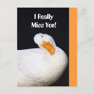 Vermisst dich wirklich! Niedliche White Duck Postkarte
