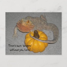 Vermisst, du Bartdrache Postkarte