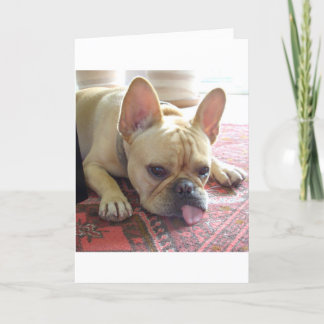 VERMISST! FRANZÖSISCHE BULLDOG KARTE