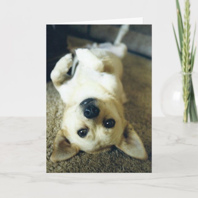 vermisst Grußkarte Karte (Vorderseite)