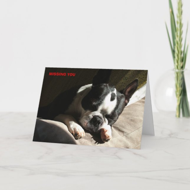 VERMISST KARTE (Vorderseite)