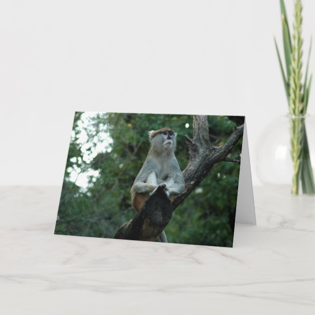 Vermisst Karte (Vorderseite)