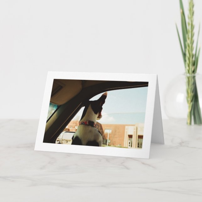 VERMISST KARTE (Vorderseite)