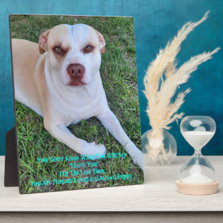 Vermisst mein Welpe Fotoplatte